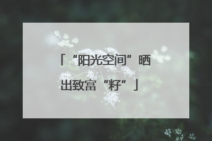 “阳光空间”晒出致富“籽”