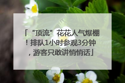“顶流”花花人气爆棚！排队1小时参观3分钟，游客只敢讲悄悄话