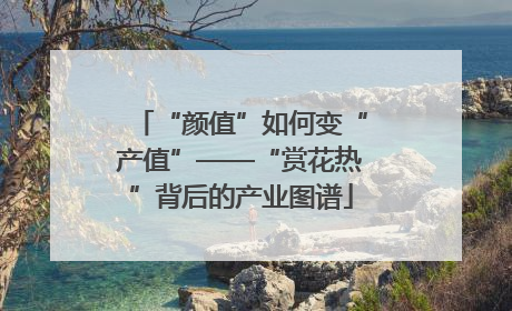“颜值”如何变“产值”——“赏花热”背后的产业图谱