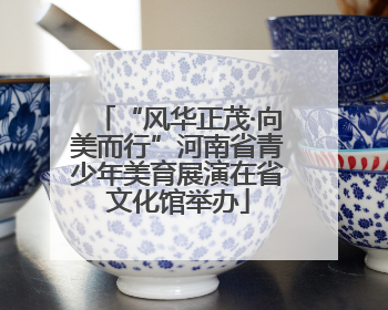 “风华正茂·向美而行”河南省青少年美育展演在省文化馆举办