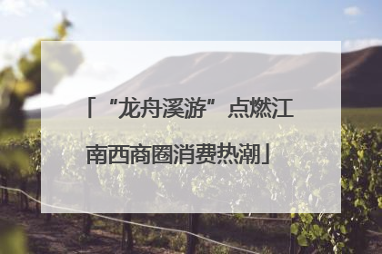 “龙舟溪游”点燃江南西商圈消费热潮