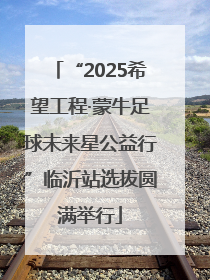 “2025希望工程·蒙牛足球未来星公益行”临沂站选拔圆满举行