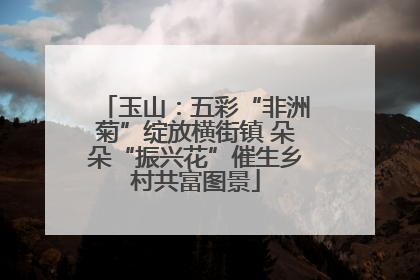 玉山：五彩“非洲菊”绽放横街镇 朵朵“振兴花”催生乡村共富图景