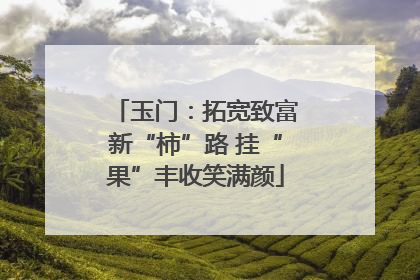 玉门：拓宽致富新“柿”路 挂“果”丰收笑满颜
