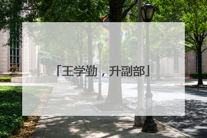 王学勤，升副部