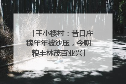王小楼村：昔日庄稼年年被沙压，今朝粮丰林茂百业兴