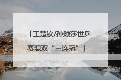 王楚钦/孙颖莎世乒赛混双“三连冠”