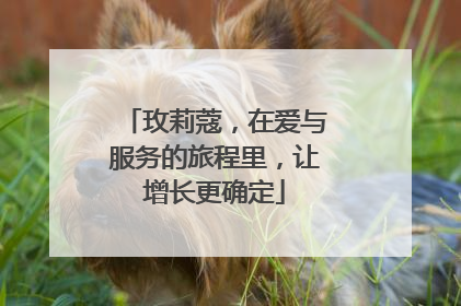玫莉蔻，在爱与服务的旅程里，让增长更确定