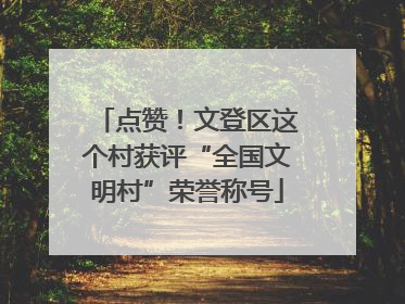 点赞！文登区这个村获评“全国文明村”荣誉称号