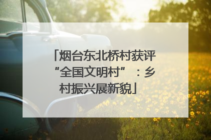 烟台东北桥村获评“全国文明村”：乡村振兴展新貌