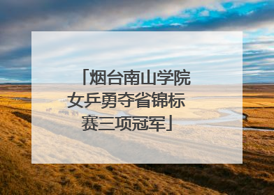 烟台南山学院女乒勇夺省锦标赛三项冠军