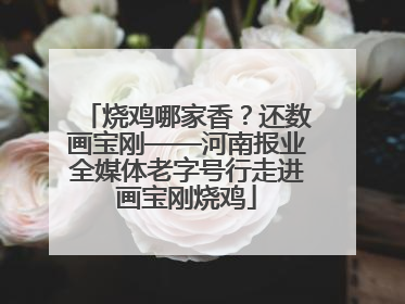 烧鸡哪家香？还数画宝刚——河南报业全媒体老字号行走进画宝刚烧鸡