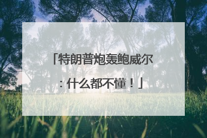 特朗普炮轰鲍威尔：什么都不懂！