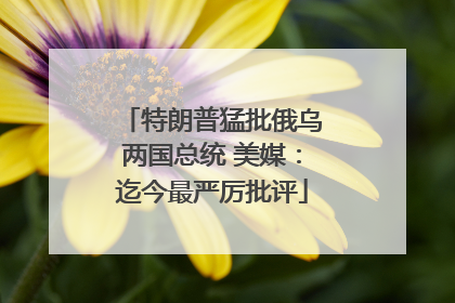 特朗普猛批俄乌两国总统 美媒：迄今最严厉批评
