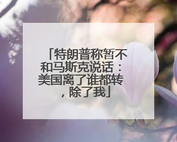 特朗普称暂不和马斯克说话：美国离了谁都转，除了我