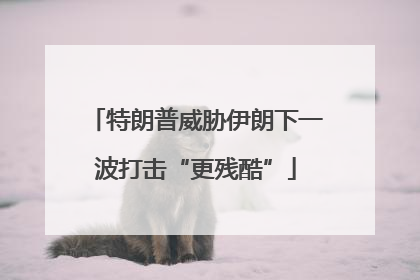 特朗普威胁伊朗下一波打击“更残酷”
