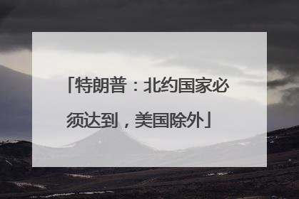 特朗普：北约国家必须达到，美国除外
