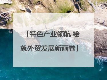 特色产业领航 绘就外贸发展新画卷