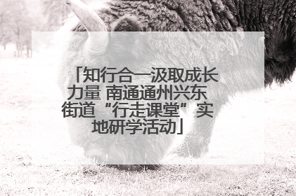 知行合一汲取成长力量 南通通州兴东街道“行走课堂”实地研学活动
