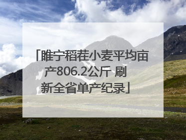睢宁稻茬小麦平均亩产806.2公斤 刷新全省单产纪录