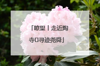 瞭望丨走近陶寺 寻迹尧舜