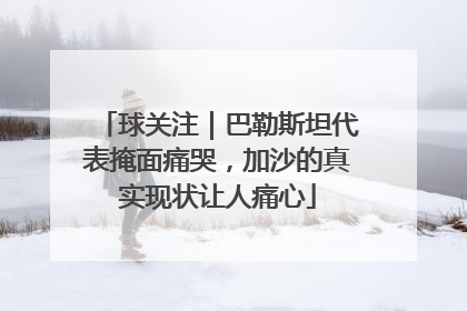 球关注｜巴勒斯坦代表掩面痛哭，加沙的真实现状让人痛心