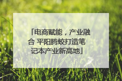 电商赋能，产业融合 平阳腾蛟打造笔记本产业新高地