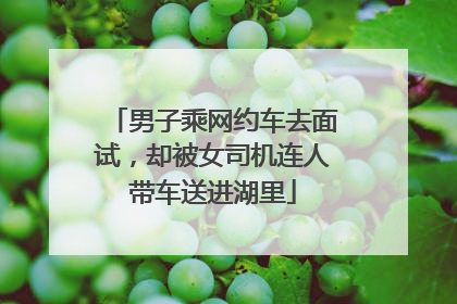 男子乘网约车去面试，却被女司机连人带车送进湖里