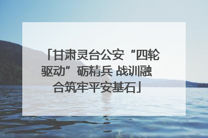 甘肃灵台公安“四轮驱动”砺精兵 战训融合筑牢平安基石