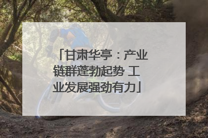 甘肃华亭：产业链群蓬勃起势 工业发展强劲有力