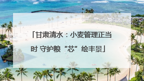 甘肃清水：小麦管理正当时 守护粮“芯”绘丰景