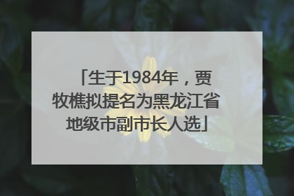 生于1984年，贾牧樵拟提名为黑龙江省地级市副市长人选