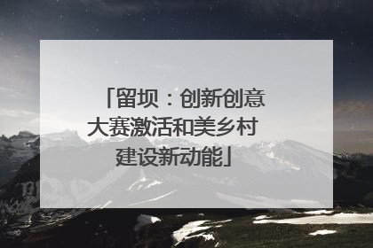 留坝：创新创意大赛激活和美乡村建设新动能