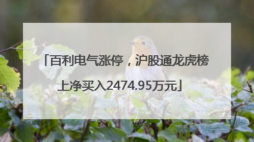 百利电气涨停，沪股通龙虎榜上净买入2474.95万元