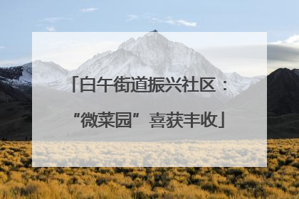 白午街道振兴社区：“微菜园”喜获丰收