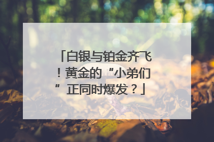 白银与铂金齐飞！黄金的“小弟们”正同时爆发？