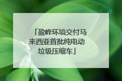 盈峰环境交付马来西亚首批纯电动垃圾压缩车