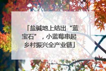 盐碱地上结出“蓝宝石”，小蓝莓串起乡村振兴全产业链