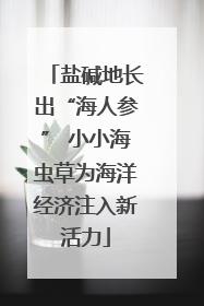 盐碱地长出“海人参” 小小海虫草为海洋经济注入新活力