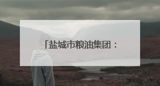 盐城市粮油集团：创新驱动助转型 提质增效促发展