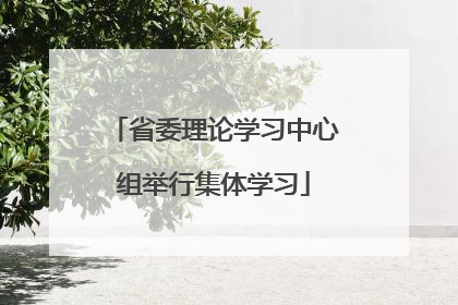 省委理论学习中心组举行集体学习