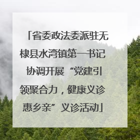 省委政法委派驻无棣县水湾镇第一书记 协调开展“党建引领聚合力，健康义诊惠乡亲”义诊活动