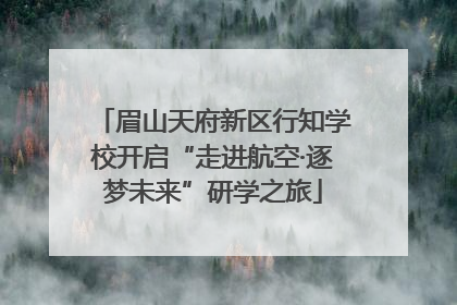 眉山天府新区行知学校开启“走进航空·逐梦未来”研学之旅