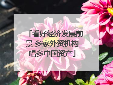 看好经济发展前景 多家外资机构唱多中国资产