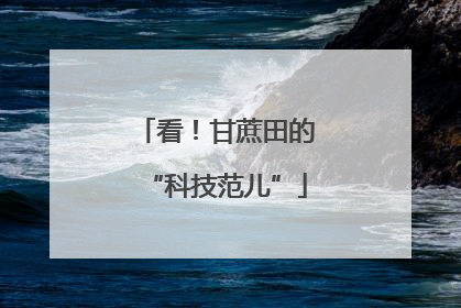 看！甘蔗田的“科技范儿”
