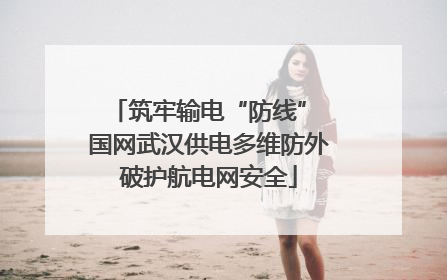 筑牢输电“防线” 国网武汉供电多维防外破护航电网安全