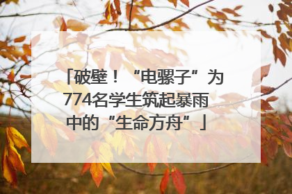 破壁！“电骡子”为774名学生筑起暴雨中的“生命方舟”