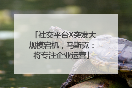 社交平台X突发大规模宕机，马斯克：将专注企业运营