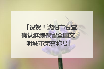 祝贺！沈阳市复查确认继续保留全国文明城市荣誉称号