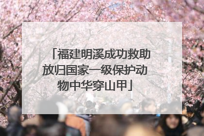 福建明溪成功救助放归国家一级保护动物中华穿山甲